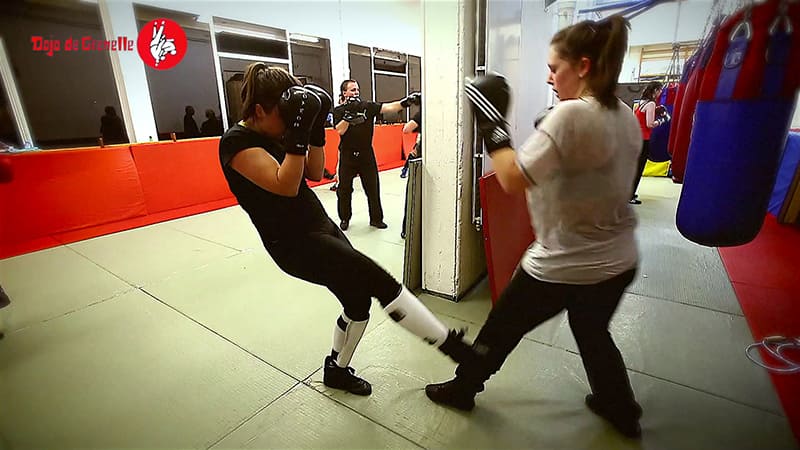 Savate Boxe Française